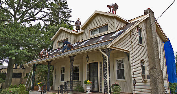 Roof Gutter Cleaning in Satsuma, AL